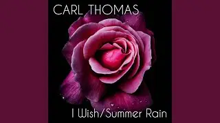I Wish (Re-Recorded - Instrumental)
