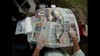 How to Fillet a Porgy and Remove Bones