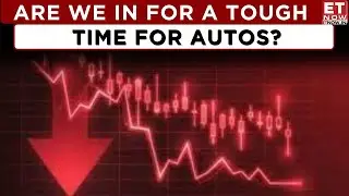Is the Auto Sector's Recovery Losing Steam or Gearing Up for Steady Growth? | Business News
