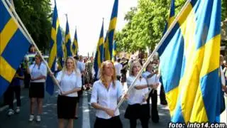 Svensk Ungdom - Fattar du, Svensk!