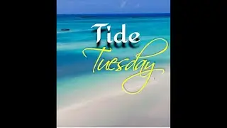 Tide Tuesday@OGHOLLYWOODSPEAKS