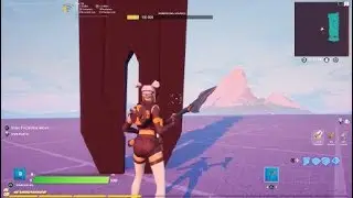 Fortnite  mi picna
