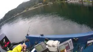 Lake Sutherland kokanee   All caught by jigging with glow orange Sonic BaitFish mfg'd by Mack's Lure