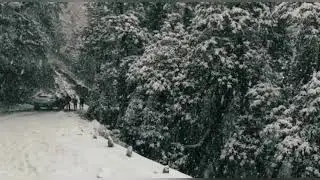Bir billing first ❄️ ⛄️ snowfall