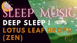 Water Drops Relaxing Music for Sleep
