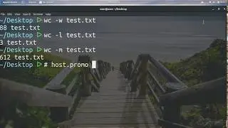 💬 HOW TO COUNT WORDS IN A DOCUMENT / FILE ON LINUX 💯