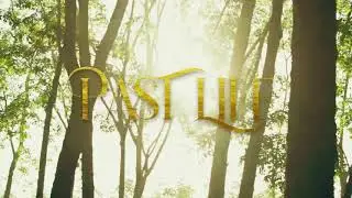 Shayan Regan - Past Life (Lyric Video)