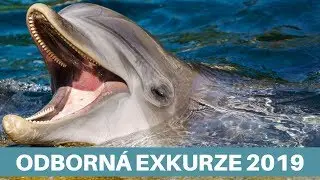 Odborn&aacute; exkurze do severoz&aacute;padn&iacute;ch Čech