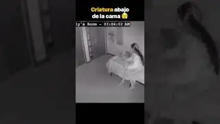 Bromas de Terror que llegaron lejos (PARTE 10) #bromasdeterror #datoenigma