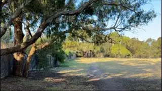 Melbourne  parks and birds 734 pm. summer