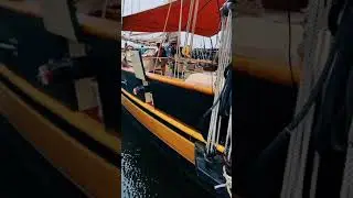 Pride of Baltimore II is sailing north, I'll miss them!
