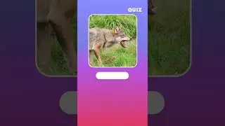 The most successful prediator in the history - True or Fake Quiz😁🤔