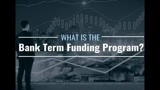 What is the Bank Term Funding Program?