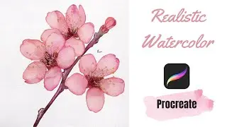 Watercolor Sakura Flower in Procreate | Digital Watercolor Tutorial