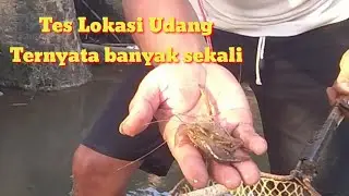 TES KEDALAMAN SETRUM IKAN TIPE PSS DIBENDUNGAN