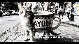 Tlac tlac tlac sahur | episodio 3 | temporada 2