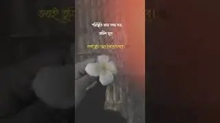 Tmr valo basa ta mittha hoileo ovi noy ta kole darun silo😢😭