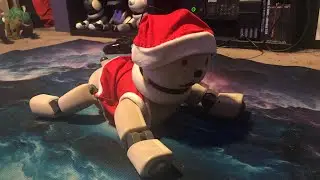 31 DAYS of AIBO MEET SADIE ERS 311B DAY 25