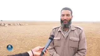 مجلس الاقتصاد والزراعة في دير الزور يطلق عملية إحصاء شاملة للثروة الحيوانية