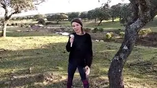 La importancia de la Educación Física en el Medio Ambiente