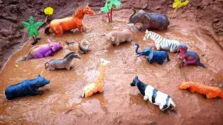 Cleaning  Toy Animal Dinosaur, Fox, Cheetah, Horsh, Elephant, Zebra, Giraffe Cow, Bear- Animal Toys 