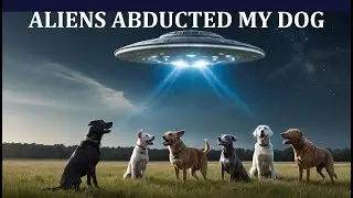 ALIENS ABDUCTED MY DOG