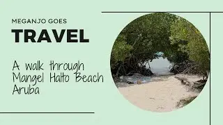 A walk through Mangel Halto Beach, Aruba🏝️ #mangelhalto #aruba #arubaonehappyisland #arubathings