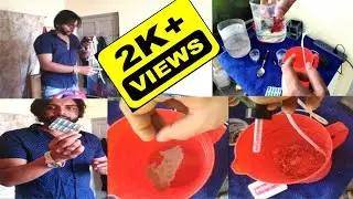 How to Culture Brine Shrimp | Artemia Hatching easy process in Hindi