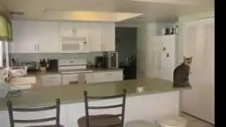 2348 S PATTERSON ST, Mesa, AZ 85202 | Zack Alawi | 480-600-9168 | Mesa Real Estate