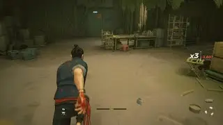 Sifu Level Speedrun | The Squats | 2:57