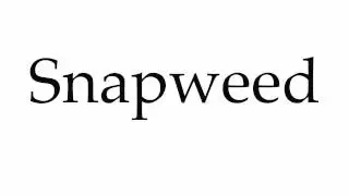 How to Pronounce Snapweed