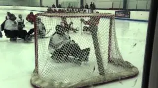Sled Wings Josh Stapel Goal 3/7/15
