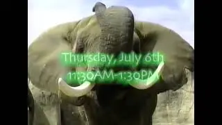 Indianapolis Zoo (2000) Television Commercial - Indiana