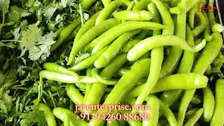 chili coriander paste making machine - Dhaniya chutney machine | +91-9426088680 | jasenterprise.com