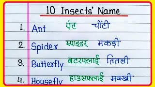 10 Insects Name in English and Hindi | Insect Name | कीड़े मकोड़े के नाम | Insects Name