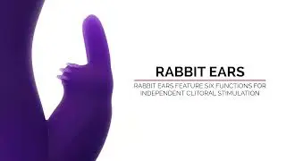 The Classic Rabbit