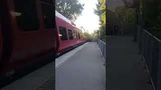 Tren DSB de 16 vagones/8+8 vagones saliendo de la estacion de Virum - Virum - Dinamarca #shorts #dsb