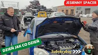 Dzień jak co dzień :)