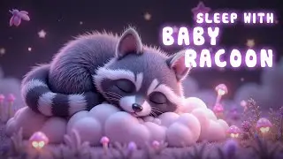 🦝✨ Baby Raccoon&rsquo;s Sweet Lullaby - Relaxing Sleep Music for Babies