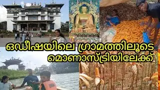 I didn't have to go to China to see all this🧘 #akhilasbliss #monastery #buddhistcolony