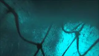 loddefiske 2014 med Gopro i Tr&aring;la