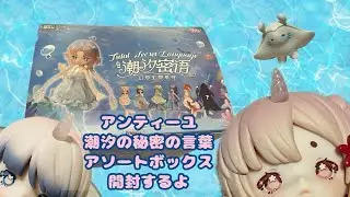 アンティーユ 潮汐の秘密の言葉 アソートボックス開封するよ