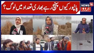 Large number of Migratory Birds at Chatlam Lake in Pampore Kashmir | People in Large Numbers Visit