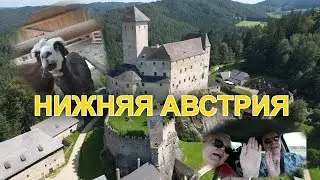 Пенсионеры в пути. Австрия. Замок Раппоттенштайн и ферма с альпаками