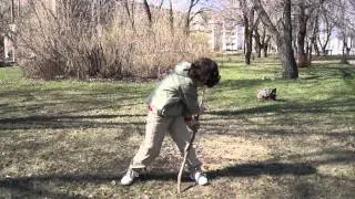 sony a33 test video