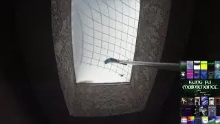How To Save A Humming Birds Life by Kung Fu Maintenance