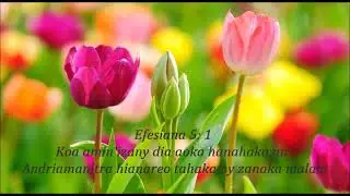 Fihirana ffpm 748 Havaozy Tompo &ocirc;