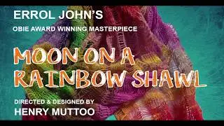 Moon on a Rainbow Shawl Promo