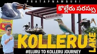 కొల్లేరు సరస్సు | KOLLERU LAKE 4K VIDEO | ELURU TO KOLLERU JOURNEY | KOLLERU WILDLIFE SANCTUARY