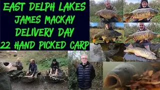 East Delph lakes fish stocking 2022 carp fishing